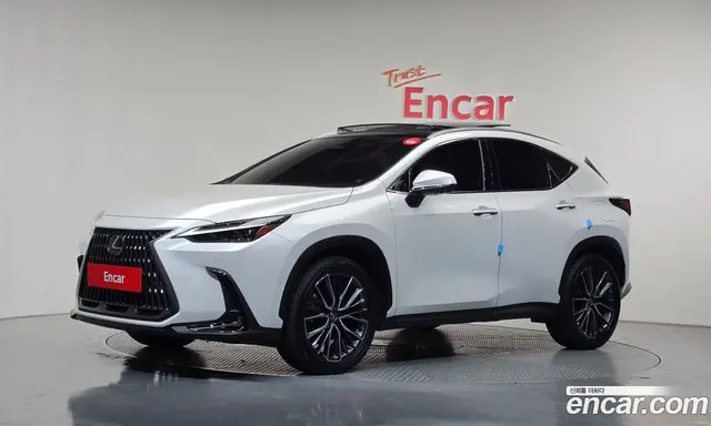 Lexus NX, 2025, 13 253 км