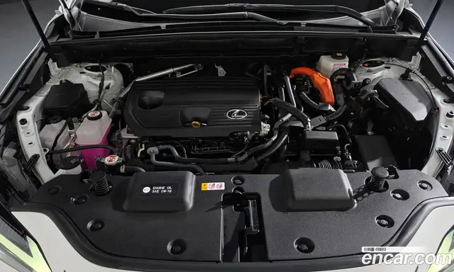 Lexus NX 2025 2.5 АКПП, миниатюра 6