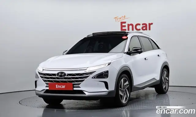 Hyundai Nexo, 2022, 109 334 км