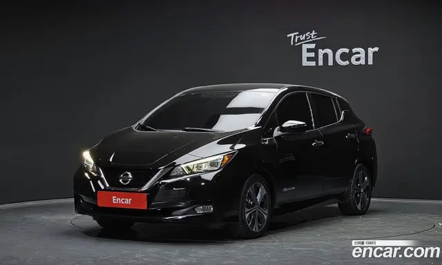 Nissan Leaf, 2019, 167 550 км