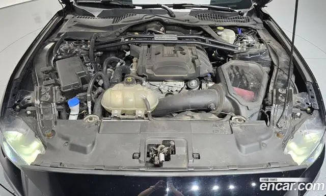 Ford Mustang 2021 2.3 АКПП, миниатюра 6