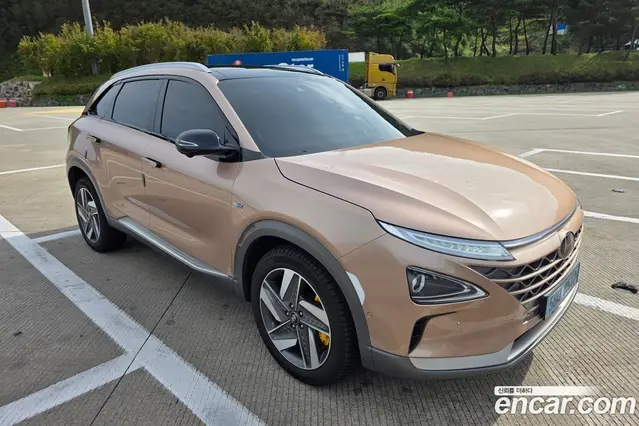 Hyundai Nexo, 2020, 98 500 км