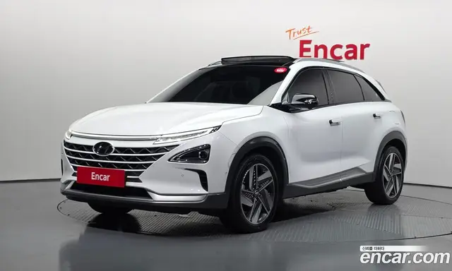 Hyundai Nexo, 2021, 96 339 км