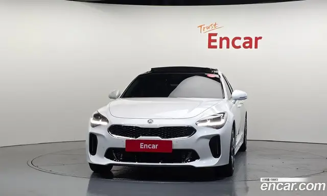 Kia Stinger 2017 2.0 АКПП, миниатюра 3