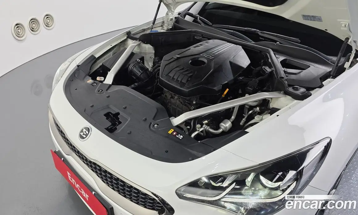 Kia Stinger 2017 2.0 АКПП, фото 6