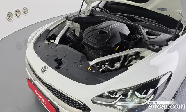 Kia Stinger 2017 2.0 АКПП, миниатюра 6