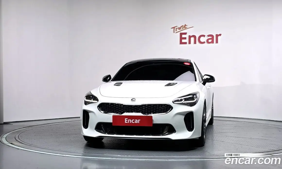 Kia Stinger 2019 2.0 АКПП, фото 3
