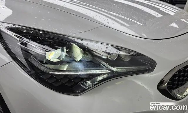 Kia Stinger 2019 2.0 АКПП, миниатюра 8