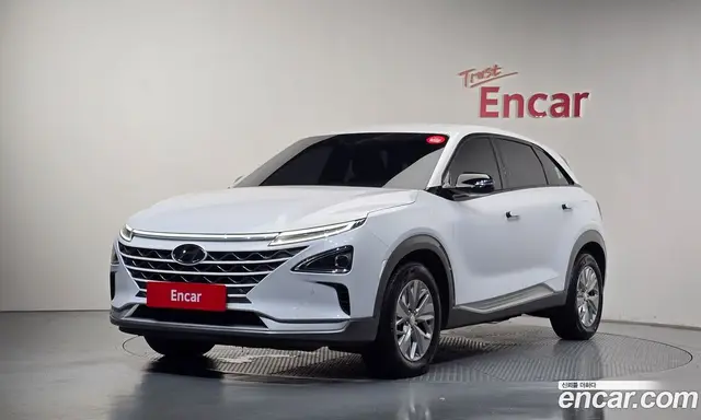 Hyundai Nexo, 2021, 48 333 км