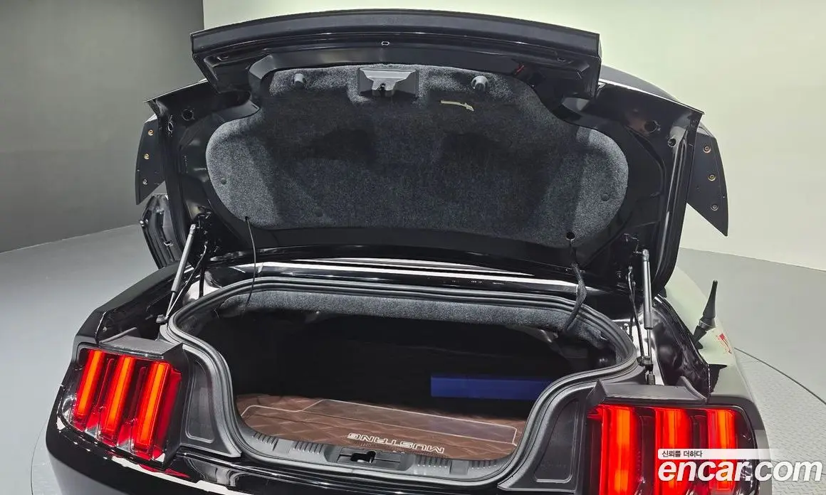 Ford Mustang 2017 2.3 АКПП, фото 20