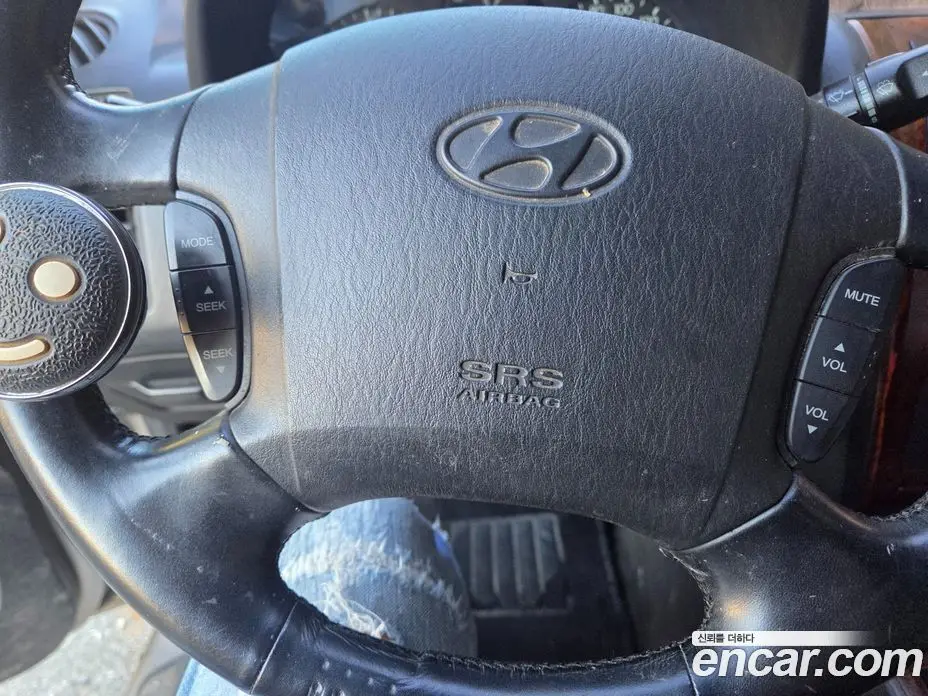 Hyundai Terracan 2003 2.5 АКПП, фото 15