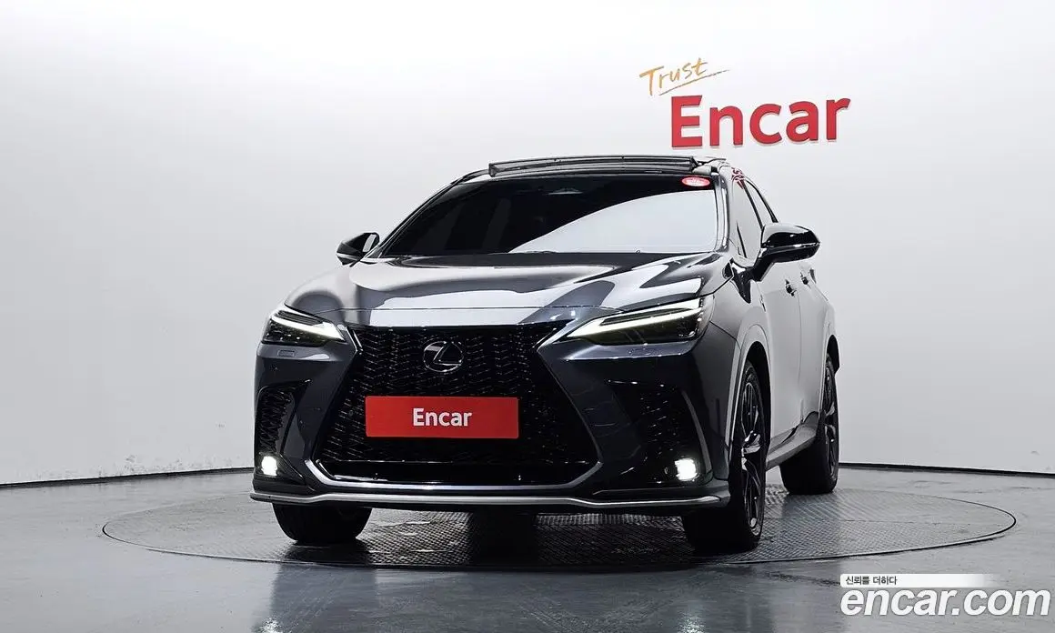 Lexus NX 2024 2.5 АКПП, фото 3 Lexus NX 2024 2.5 АКПП, фото 3