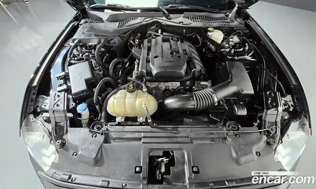 Ford Mustang 2021 2.3 АКПП, миниатюра 6