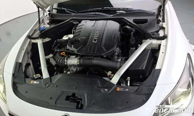 Kia Stinger 2017 2.2 АКПП, миниатюра 6