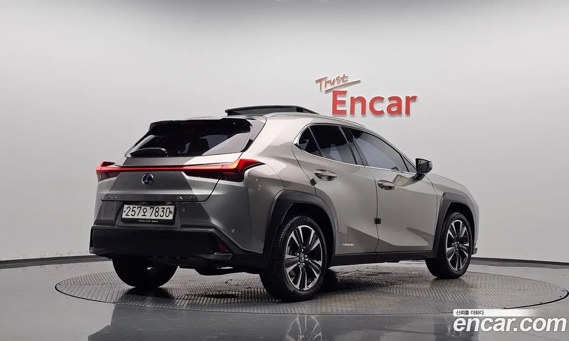 Lexus UX 2019 2.0 АКПП, фото 1 Lexus UX 2019 2.0 АКПП, фото 1