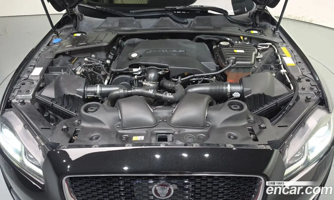 Jaguar XJ 2019 3.0 АКПП, фото 6
