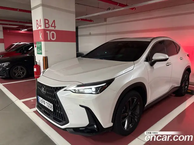 Lexus NX, 2025, 14 000 км