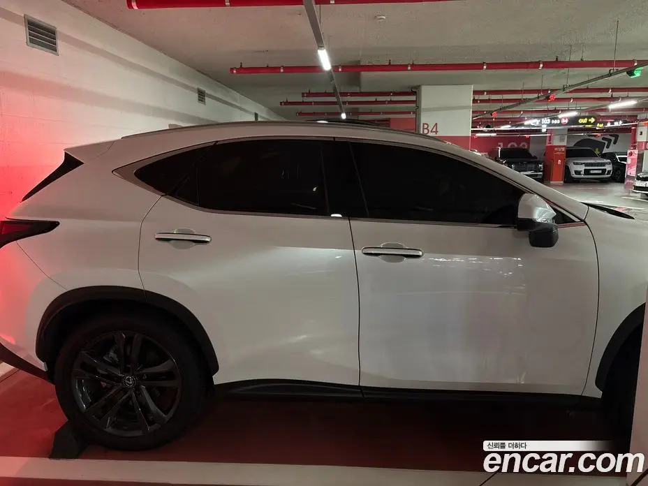 Lexus NX 2025 2.5 вариатор, фото 5