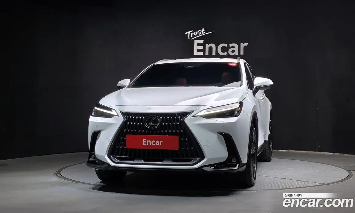Lexus NX 2026 2.5 АКПП, фото 3