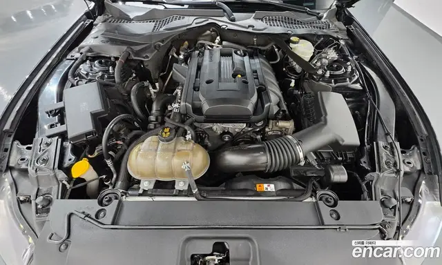 Ford Mustang 2015 2.3 АКПП, миниатюра 6