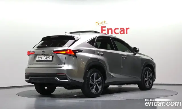 Lexus NX 2019 2.5 АКПП, миниатюра 2