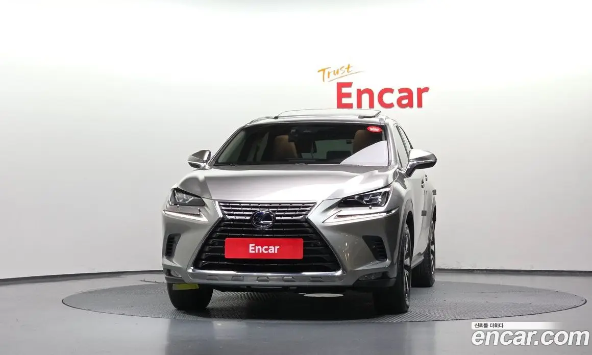 Lexus NX 2019 2.5 АКПП, фото 3