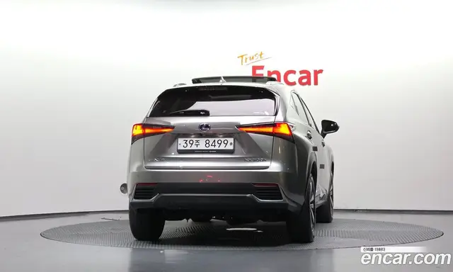 Lexus NX 2019 2.5 АКПП, миниатюра 4