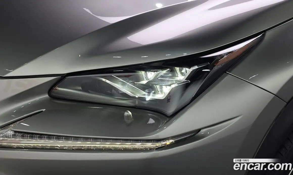 Lexus NX 2019 2.5 АКПП, фото 8