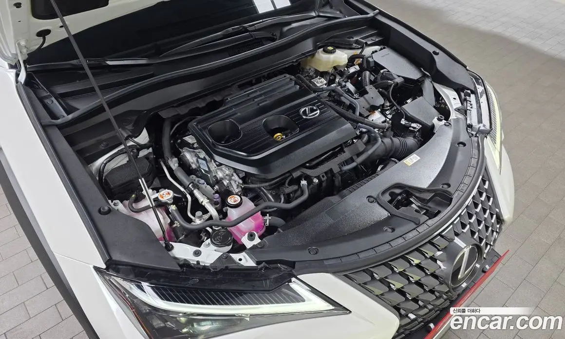 Lexus UX 2025 2.0 АКПП, фото 5