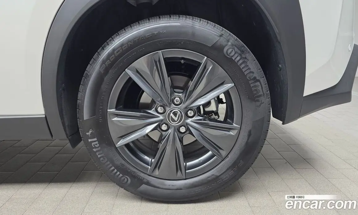 Lexus UX 2025 2.0 АКПП, фото 6