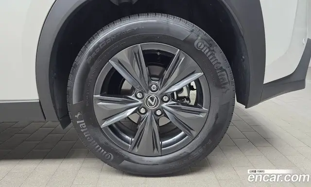 Lexus UX 2025 2.0 АКПП, миниатюра 6