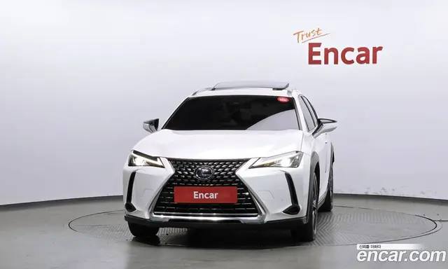 Lexus UX 2019 2.0 АКПП, миниатюра 3