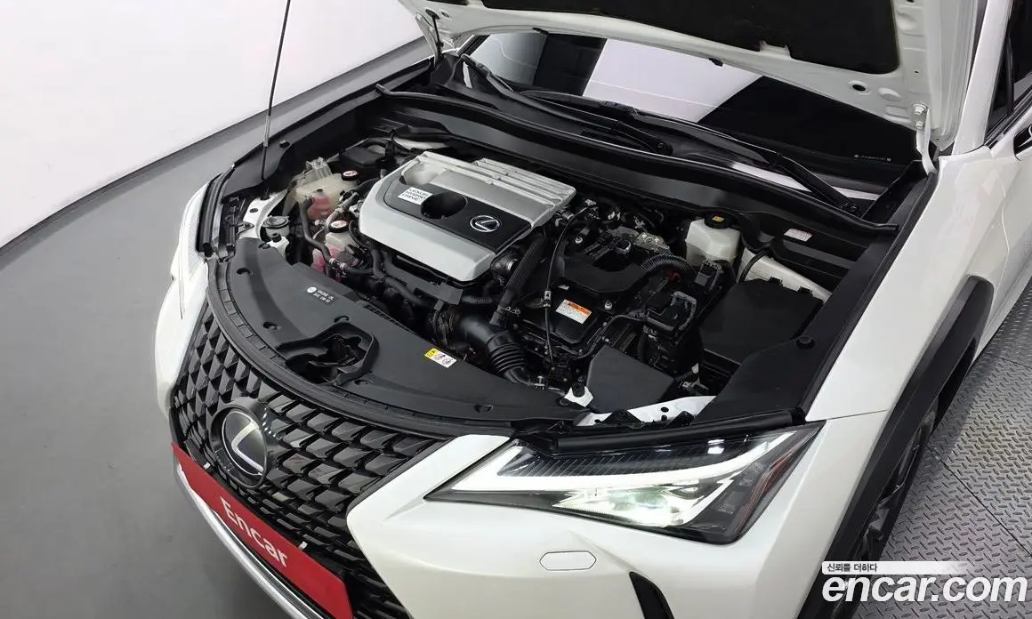 Lexus UX 2019 2.0 АКПП, фото 6