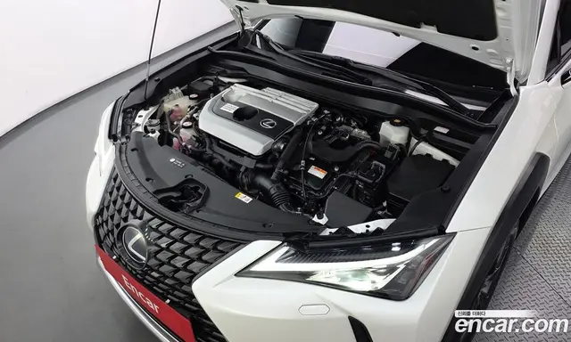 Lexus UX 2019 2.0 АКПП, миниатюра 6