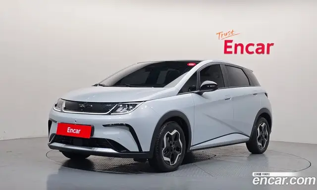 BYD Dolphin, 2026, 5 567 км