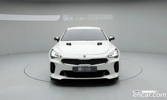 Kia Stinger 2019 2.0 АКПП, миниатюра 2