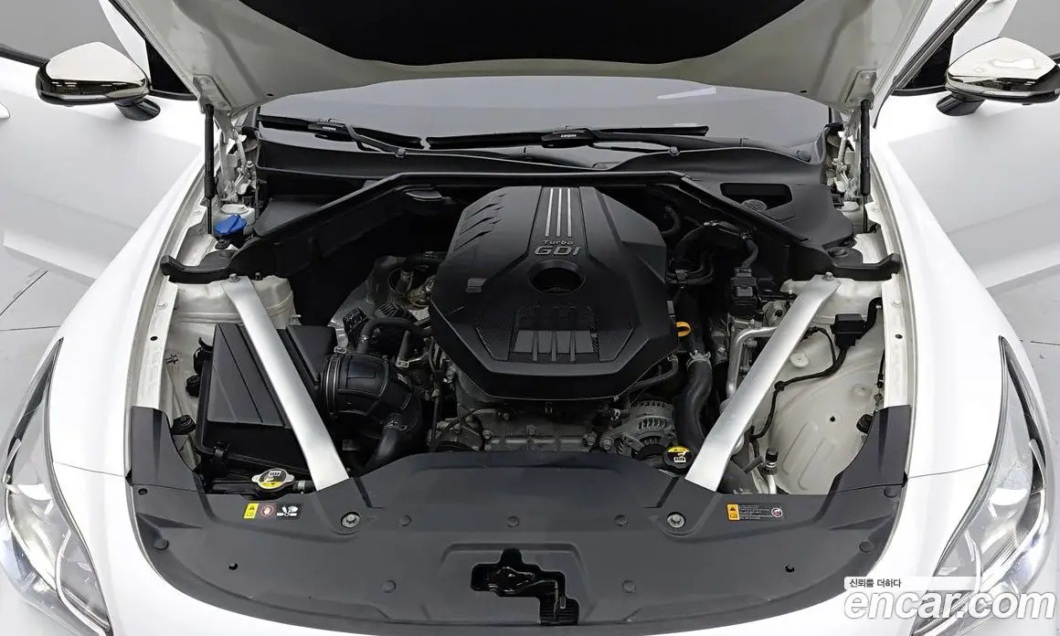 Kia Stinger 2019 2.0 АКПП, фото 20