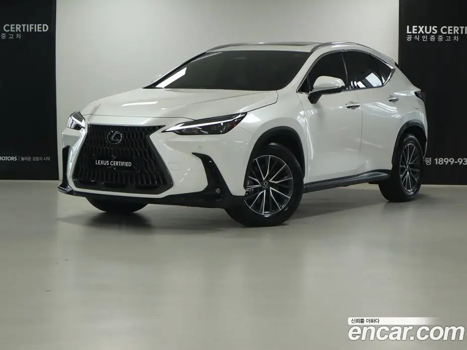 Lexus NX 2025 2.5 вариатор, фото 1 Lexus NX 2025 2.5 вариатор, фото 1