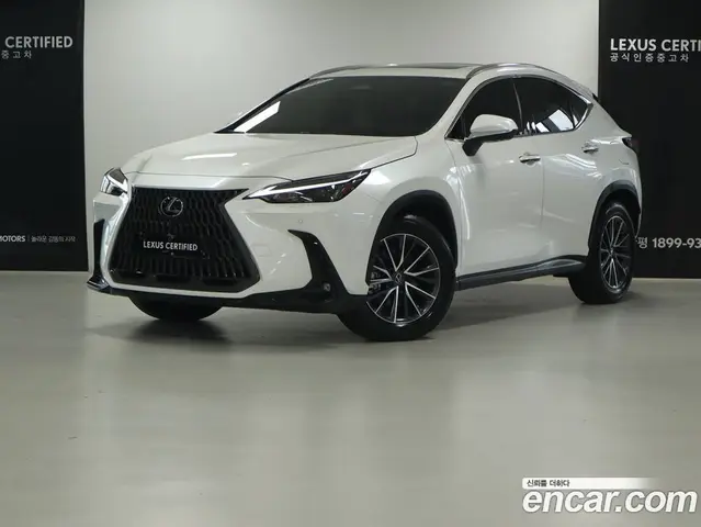 Lexus NX, 2025, 11 841 км
