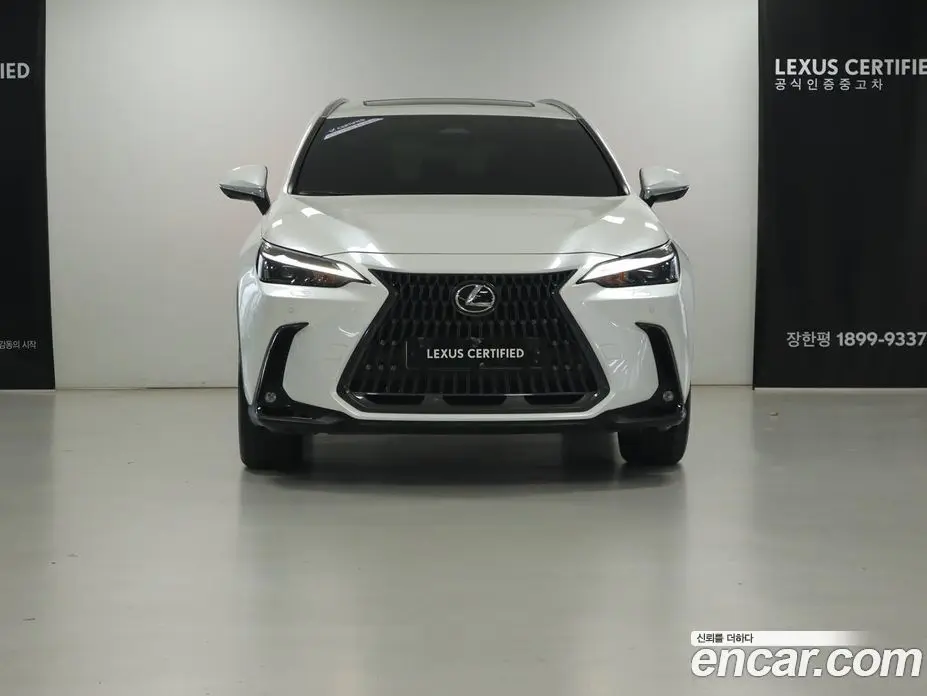 Lexus NX 2025 2.5 вариатор, фото 3 Lexus NX 2025 2.5 вариатор, фото 3