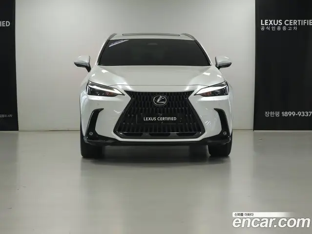 Lexus NX 2025 2.5 вариатор, миниатюра 3 Lexus NX 2025 2.5 вариатор, миниатюра 3