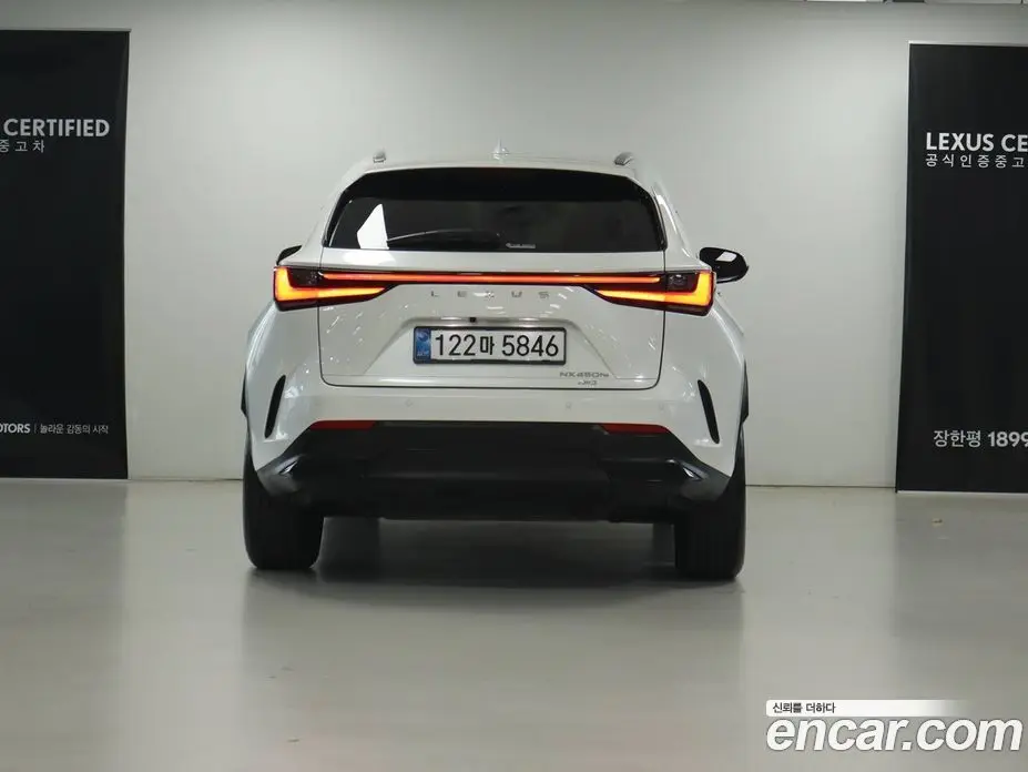 Lexus NX 2025 2.5 вариатор, фото 4 Lexus NX 2025 2.5 вариатор, фото 4