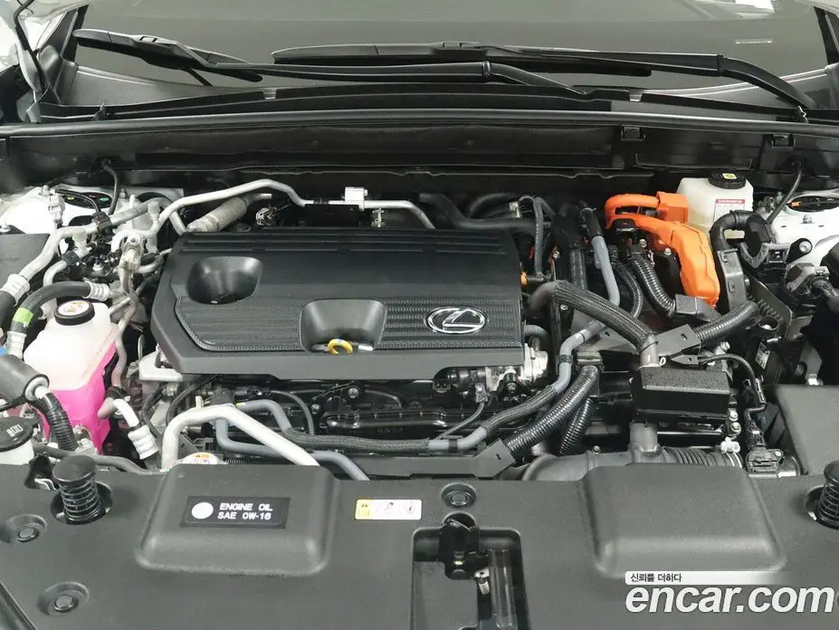 Lexus NX 2025 2.5 вариатор, фото 6 Lexus NX 2025 2.5 вариатор, фото 6