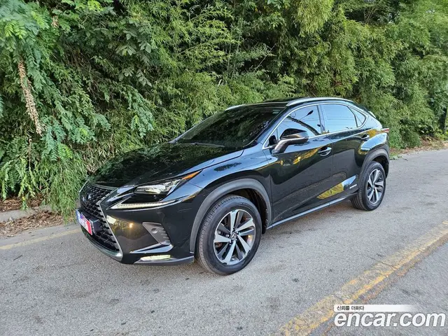 Lexus NX, 2019, 137 200 км
