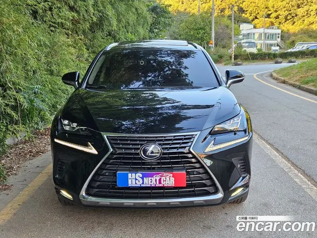 Lexus NX 2019 2.5 АКПП, миниатюра 2