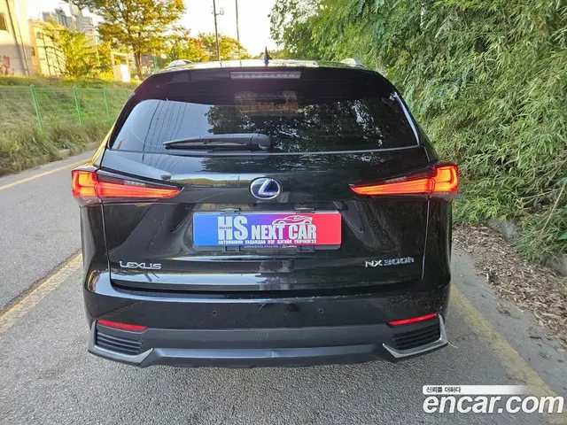 Lexus NX 2019 2.5 АКПП, миниатюра 4