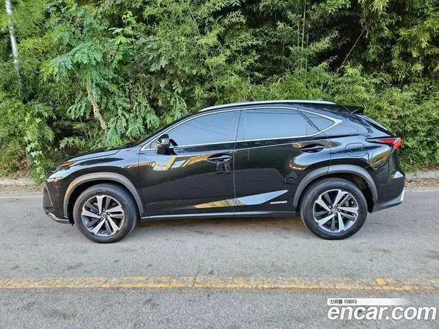 Lexus NX 2019 2.5 АКПП, миниатюра 5