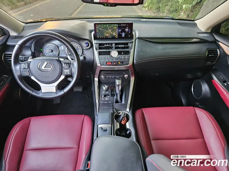 Lexus NX 2019 2.5 АКПП, фото 8