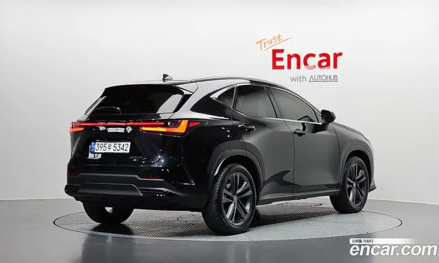 Lexus NX, 2024, 24 054 км
