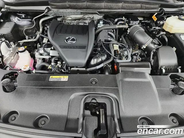 Lexus RX 2025 2.4 АКПП, миниатюра 6 Lexus RX 2025 2.4 АКПП, миниатюра 6